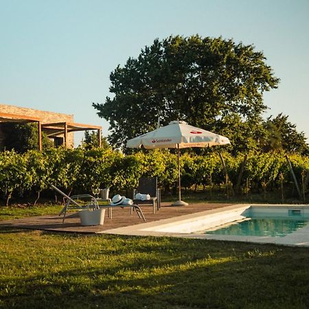 Pizzorno Lodge & Wine Progreso Exteriér fotografie