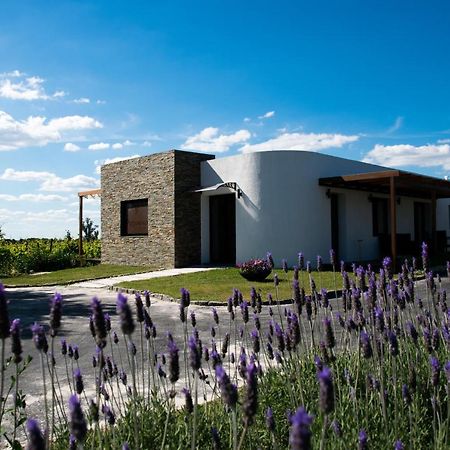 Pizzorno Lodge & Wine Progreso Exteriér fotografie