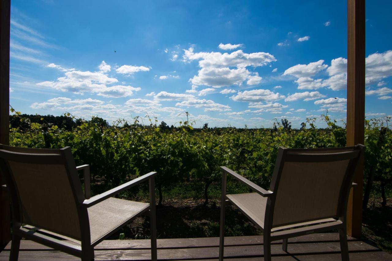 Pizzorno Lodge & Wine Progreso Exteriér fotografie